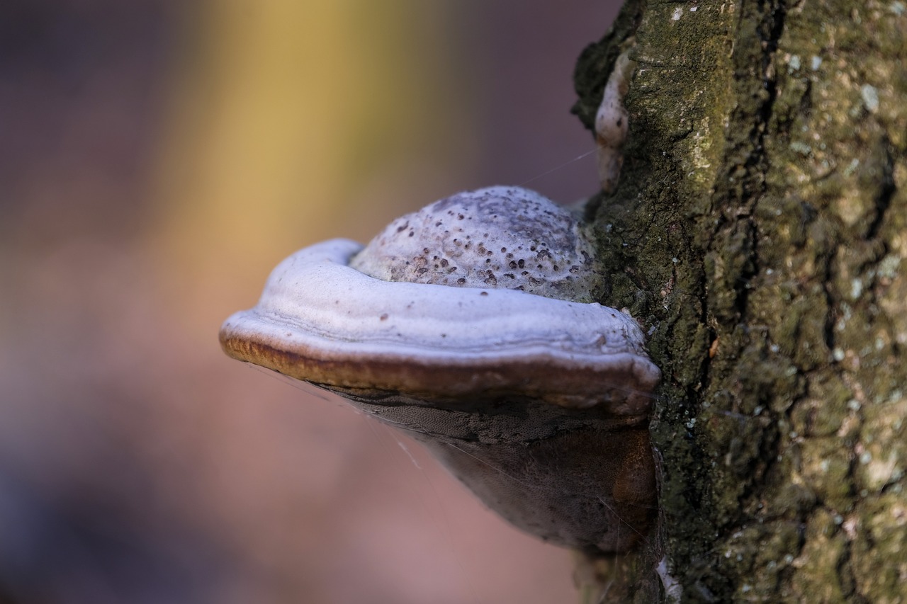 买卖微信号：合阳注册代理