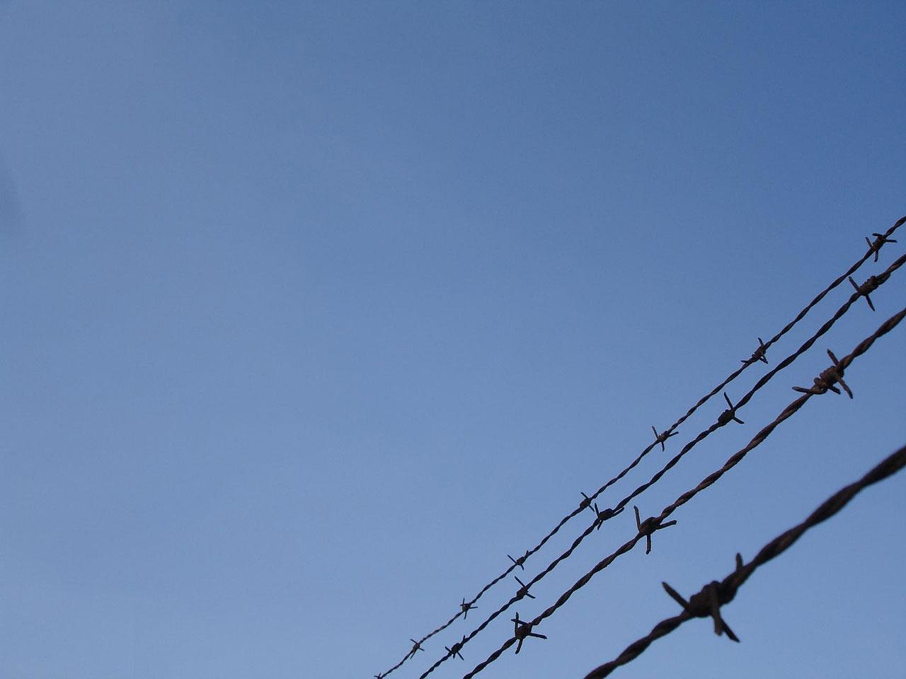 趣约会实名账号:流量卡和农业科技:如何使用流量卡进行农业科技研究