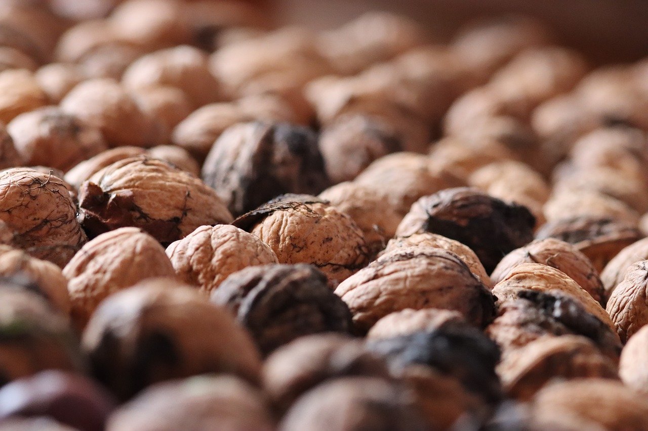 恋与制作人：劳务代理申请平台