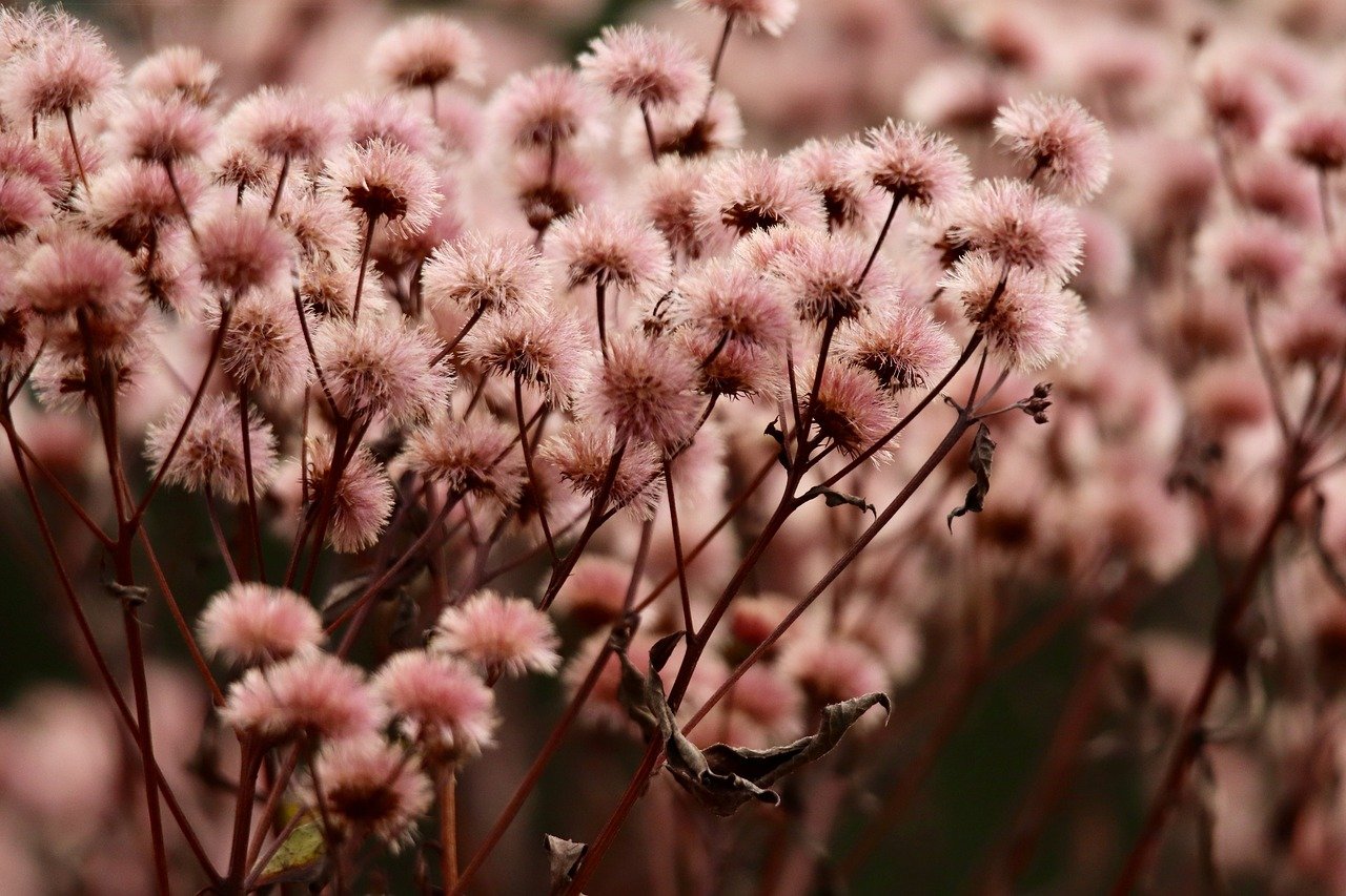 租微信号：网银app详情下载教程